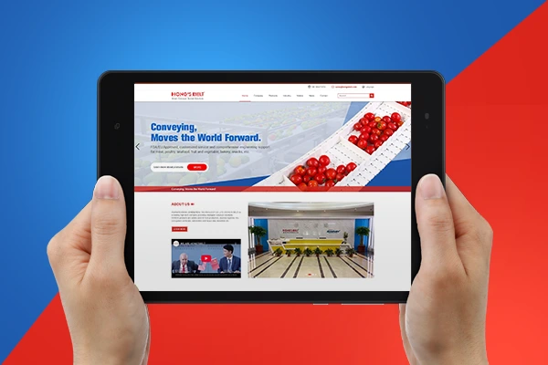 华南新海Hong's Belt