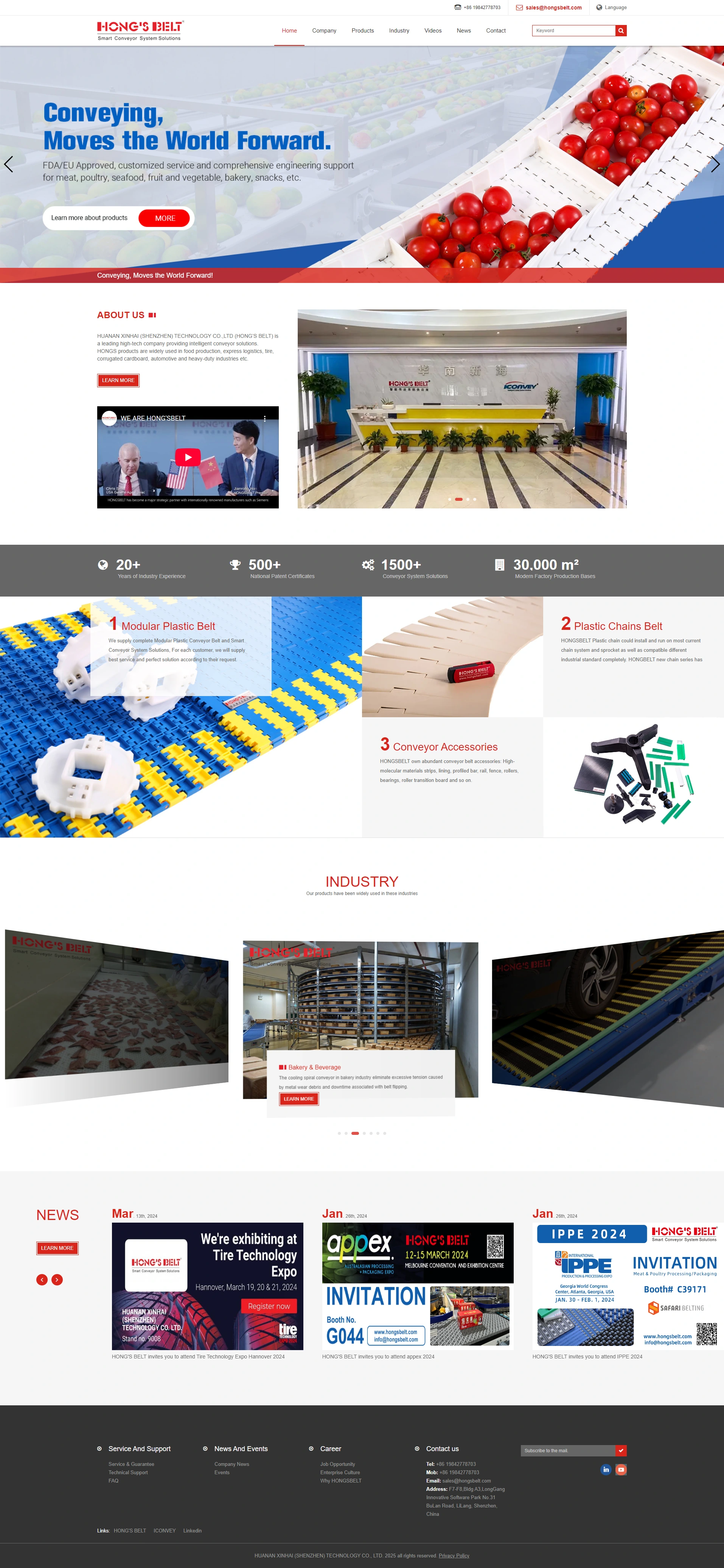 华南新海Hong's Belt网站效果