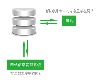 网站数据库